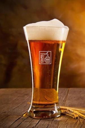 Csapolt.hu - Online ital házhozszállítás | TGweb.hu